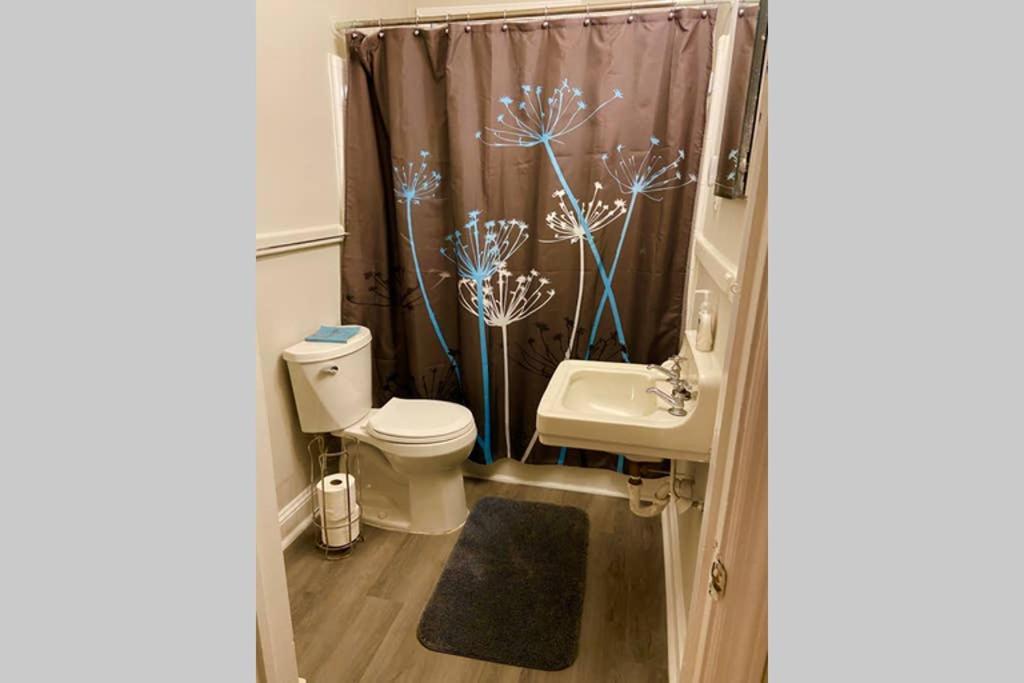 ראלי Darling Cottage In University Park מראה חיצוני תמונה